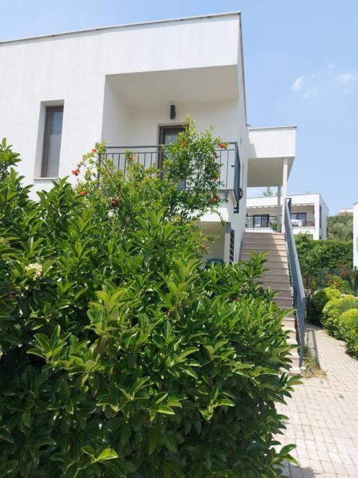 Luxurious Apartment In بودروم المظهر الخارجي الصورة
